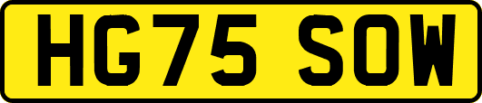 HG75SOW