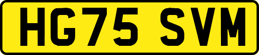 HG75SVM
