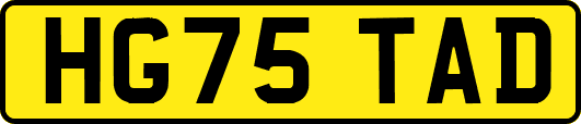 HG75TAD