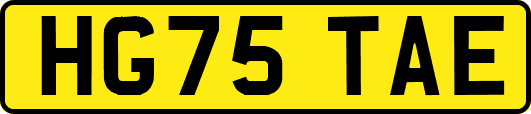 HG75TAE