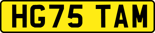 HG75TAM