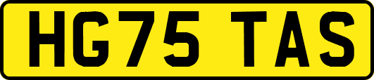 HG75TAS