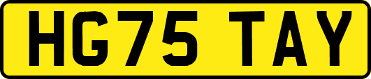 HG75TAY