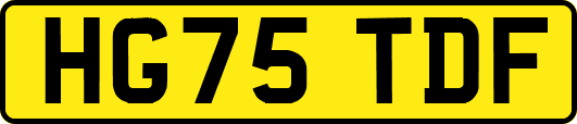 HG75TDF