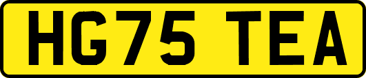 HG75TEA