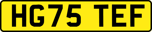 HG75TEF