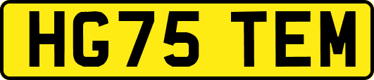 HG75TEM