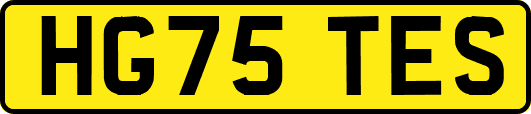 HG75TES