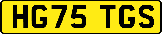 HG75TGS