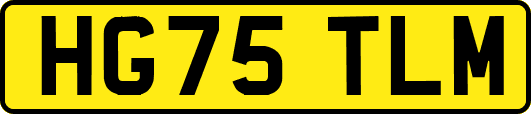 HG75TLM