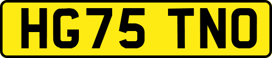 HG75TNO