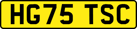 HG75TSC
