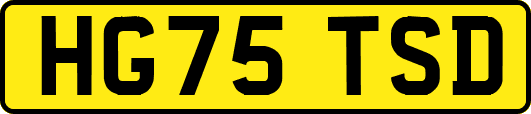 HG75TSD