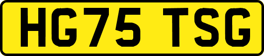 HG75TSG