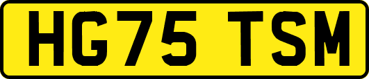 HG75TSM