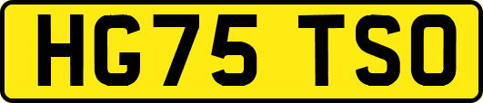 HG75TSO