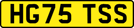 HG75TSS