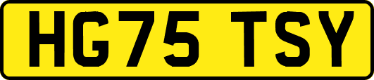 HG75TSY