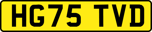 HG75TVD
