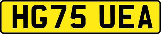 HG75UEA