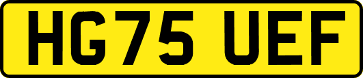 HG75UEF