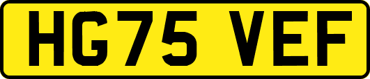 HG75VEF