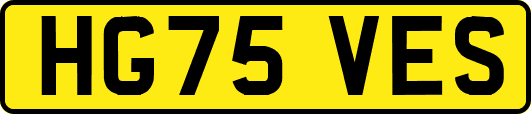 HG75VES
