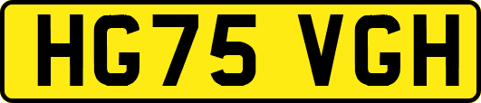 HG75VGH