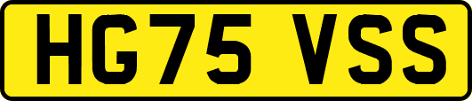 HG75VSS