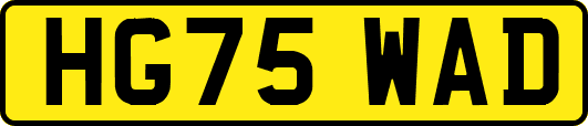 HG75WAD