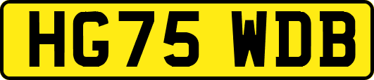 HG75WDB