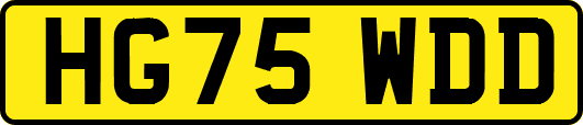 HG75WDD