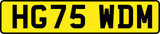 HG75WDM
