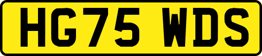 HG75WDS