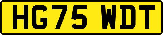 HG75WDT
