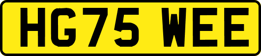 HG75WEE