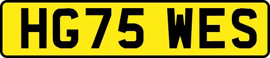 HG75WES