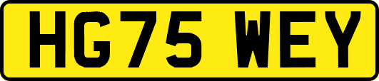 HG75WEY