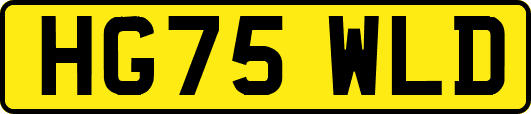 HG75WLD