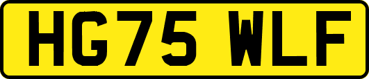 HG75WLF