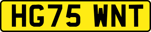 HG75WNT
