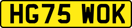 HG75WOK