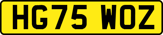 HG75WOZ
