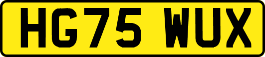 HG75WUX