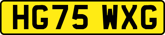 HG75WXG