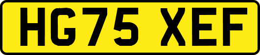 HG75XEF