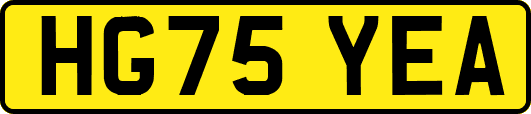 HG75YEA
