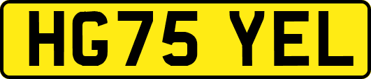 HG75YEL