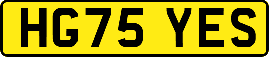 HG75YES