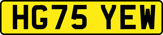 HG75YEW
